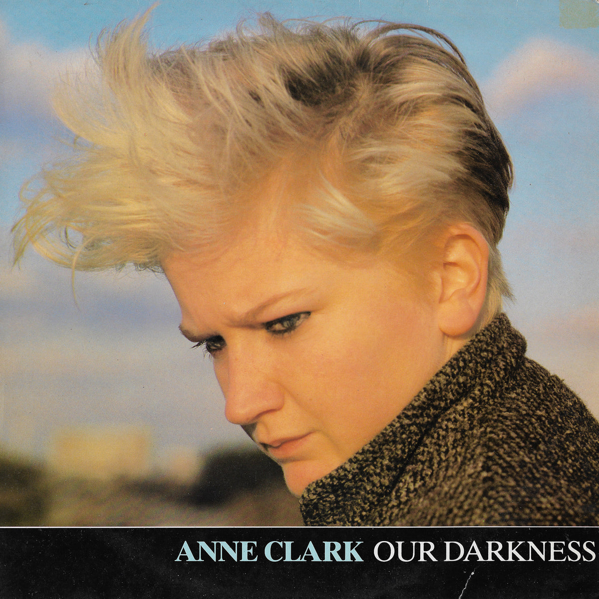 12AnneClark_84fcb134-13f6-4e2c 