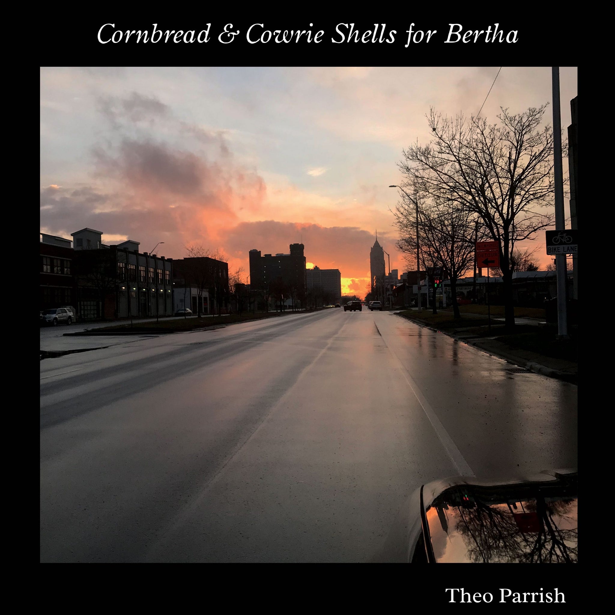 Theo Parrish - Cornbread & Cowrie Shells For Bertha