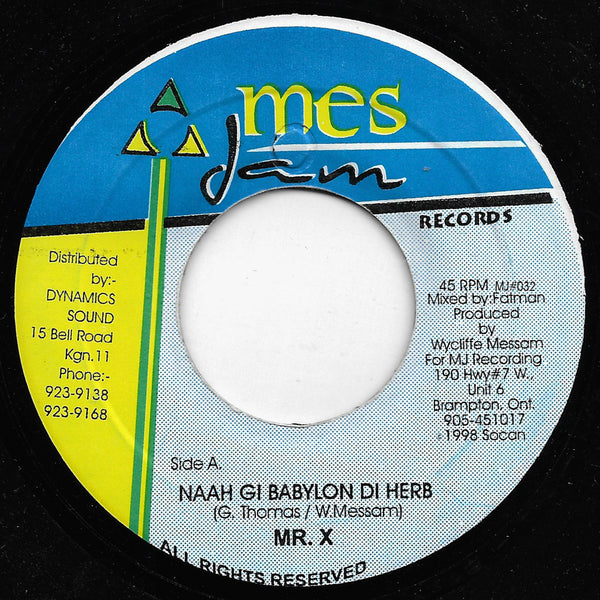 Mr X - Naah Gi Babylon Di Herb / Sky Dome Version