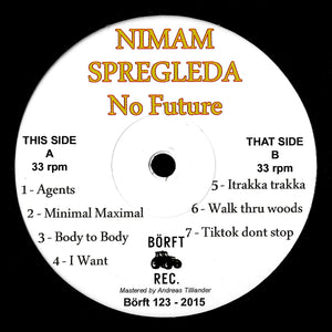 Nimam Spregleda - No Future