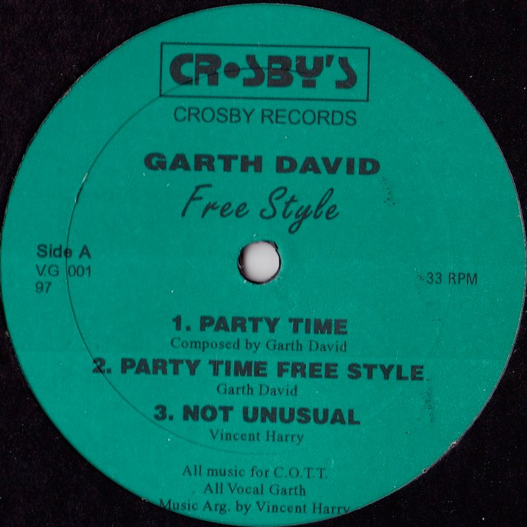 Garth David - Party Time Free Style