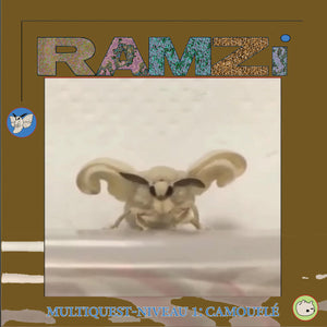RAMZi - Multiquest Niveau 1: Camouflé