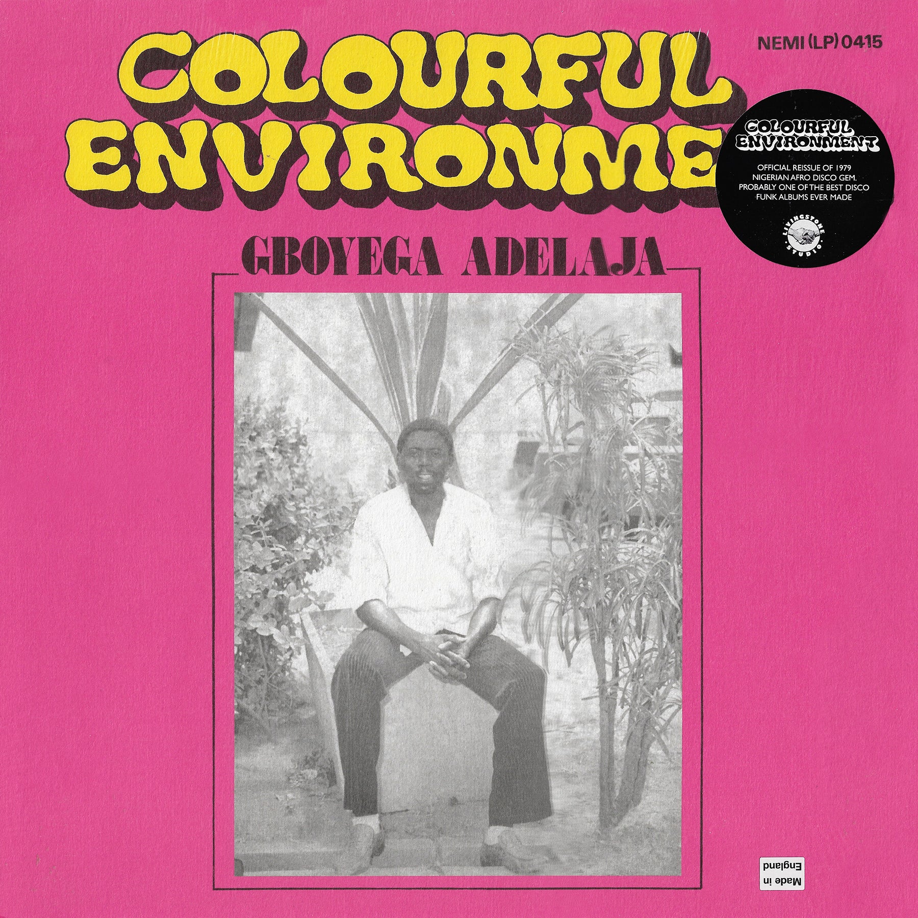Gboyega Adelaja - Colourful Environment